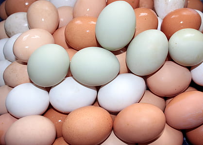 pile of eggs thumbnail