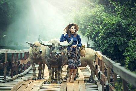 woman wearing blue long-sleeved top standing beside water buffalo on bridge during daytime thumbnail