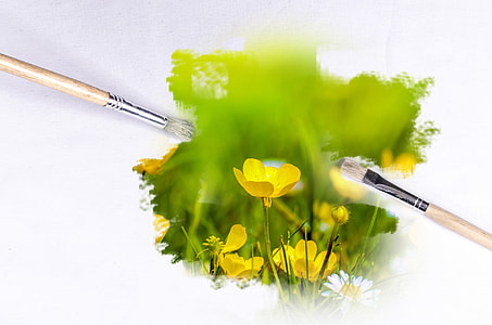 yellow petaled flowers and paint brushes thumbnail