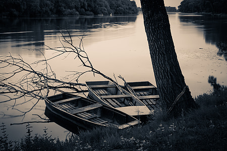 several canoes on river band under shade of tree at daytime thumbnail