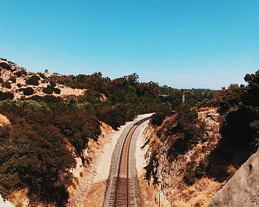brown train rails between green leafed trees thumbnail
