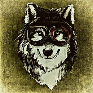 white and black wolf wearing goggles digital wallpaper thumbnail