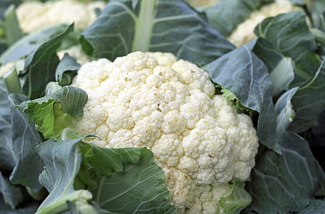 close-up photograph cauliflower thumbnail