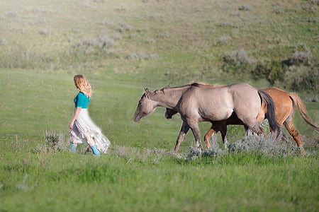grey and brown horses following woman in blue top during daytime thumbnail