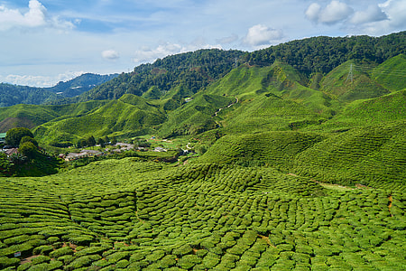 landscape photography of green hills thumbnail