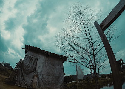 Photo of Abandoned House thumbnail