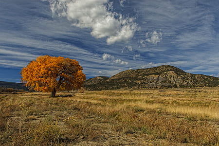 landscape photography thumbnail