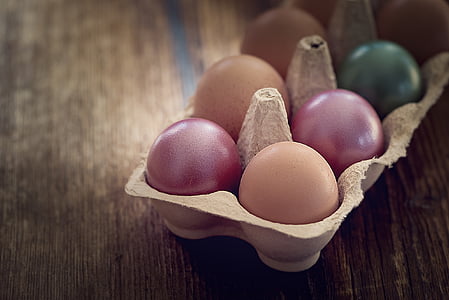 eggs on case placed on table thumbnail