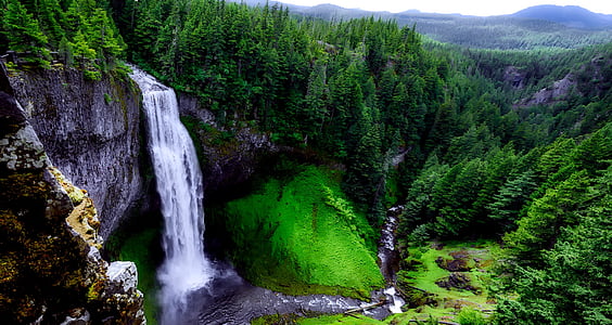waterfalls in forest during daytime thumbnail