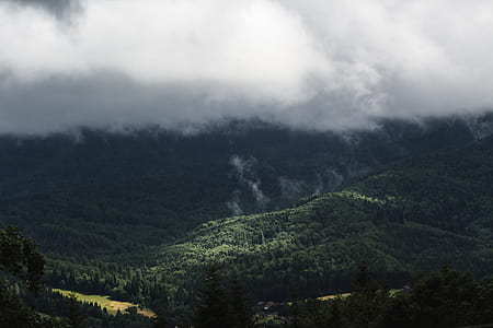 green leaf trees under white clouds during daytime thumbnail