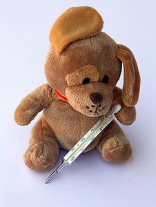mercury thermometer leaning on brown dog plush toy on white surface thumbnail