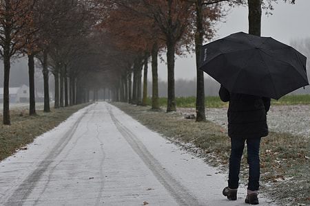 person holding black umbrella while walking on road thumbnail