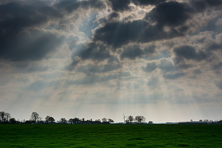 green grass field thumbnail