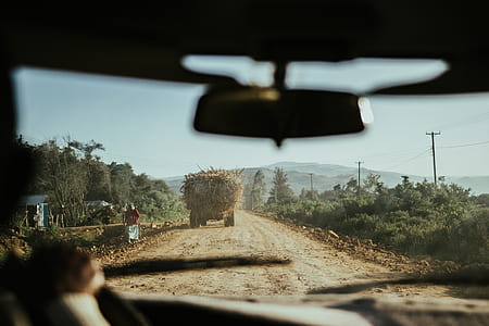 truck filled with logs on road thumbnail