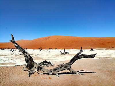 photo of brown drift wood near brown mountain under blue sky thumbnail