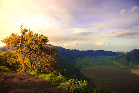 photo of sunrise tree and mountain thumbnail