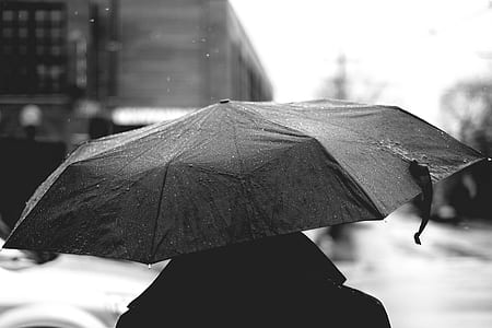 grayscale photo of person holding umbrella close-up photo thumbnail