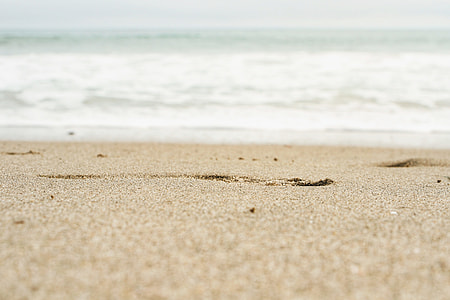 selective focus photography of seashore thumbnail