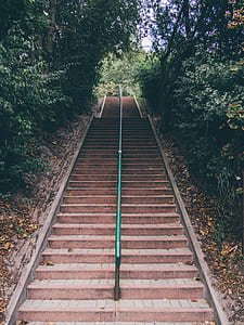 stairs, trees, railing, perspective thumbnail