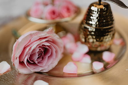A tray of pink roses thumbnail