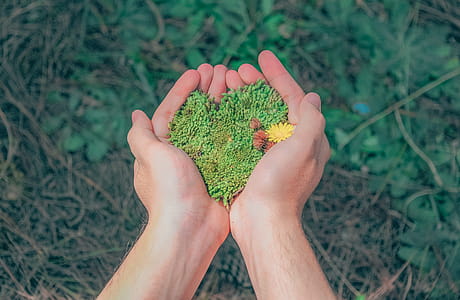 Person Holding Green Grains thumbnail