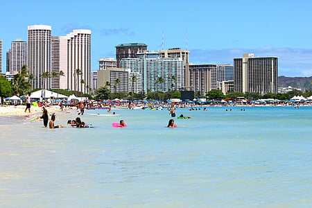 people on beach near high-rise buildings thumbnail