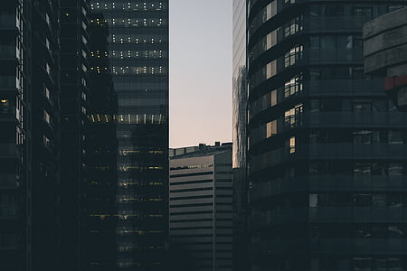 photo of black and gray high-rise buildings thumbnail