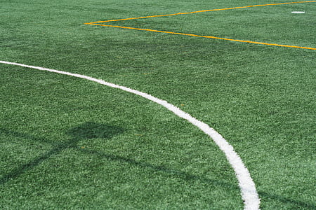 green grass lawn thumbnail