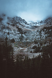 rocky mountain covered with snow and forest trees thumbnail