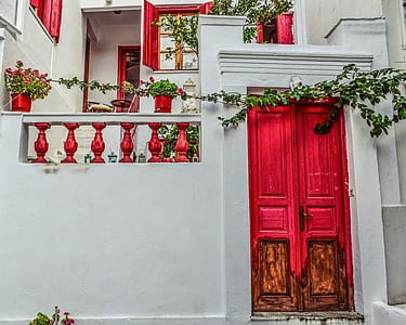 green vines on white concrete house during daytime thumbnail