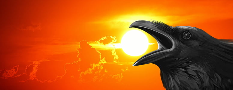 crow opening beak during sunset painting thumbnail