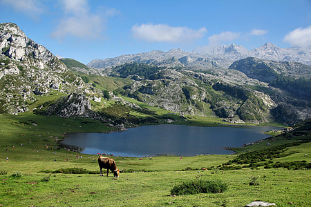 lake surrounded by mountain thumbnail