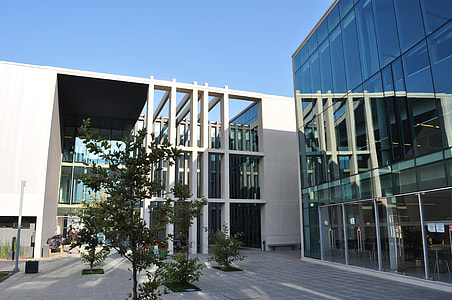 green leafed tree near concrete building thumbnail