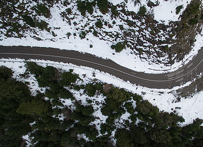 aerial view of road beside trees thumbnail