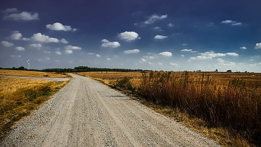 grey rough road in between green grasses thumbnail