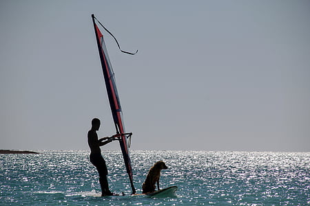 man with dog on sailboard on body of water under blue sky at daytime thumbnail