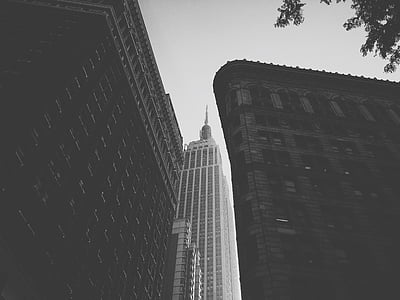 worm's eye view photography of glass building thumbnail