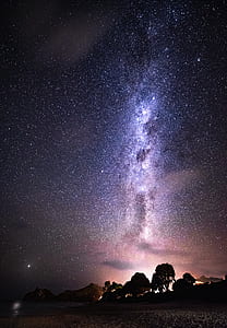 stars and trees thumbnail