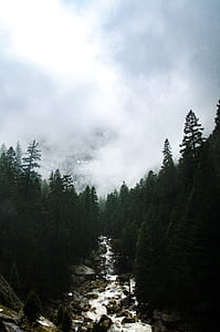 river in between green trees under white clouds during daytime thumbnail