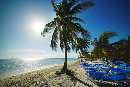 sunlounger on seashore thumbnail