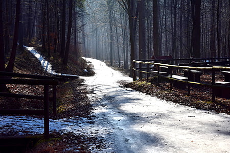 white snow path thumbnail