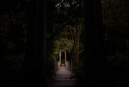 gray wooden pathway with no people thumbnail