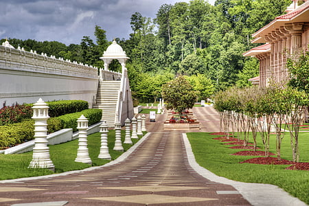white wooden stairs near trees thumbnail