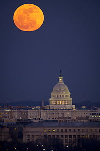 White House, Washington DC thumbnail