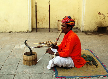 man playing flute in front of snake thumbnail