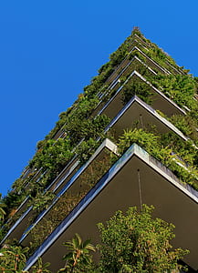 green leafed plants on building during daytim thumbnail