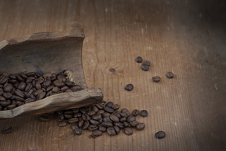 coffee beans on brown table thumbnail