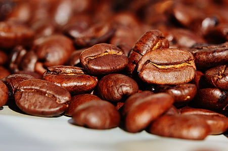 brown coffee beans thumbnail