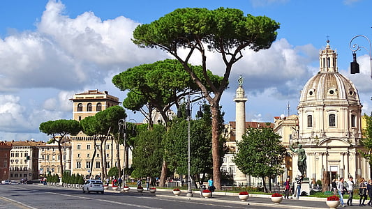 green leaf tree near dome building at daytime thumbnail