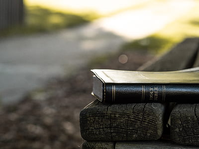 Holy Bible on brown wooden bench thumbnail